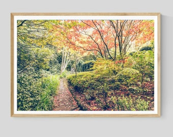 Autumn Garden Photography Print, Nature Landscape Wall Art, Fall Decor