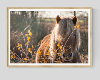 Horse Print, Farmhouse Wall Art, Rustic Country Decor, Animal Photography