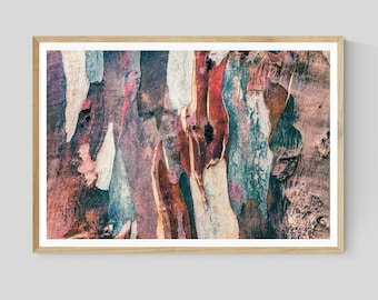 Tree Bark Photography, Eucalypt Gum Abstract Print, Nature Wall Art, Australian Native Botanical Decor