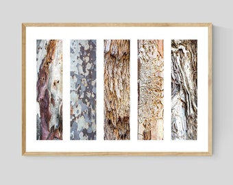 Australian Native Tree Bark Collage Print with White Border, Botanical Nature Photography, Neutral Abstract Wall Art