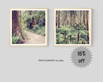 Set of 2 Square Australian Forest Prints, Eucalyptus Photography, Bush Nature Wall Art