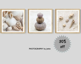 Set of 3 Square Shell Wall Art Prints, Beach Home Decor,  Neutral Photography Print Set