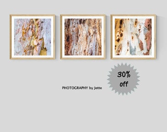 Set of 3 Square Bark Prints, Australian Eucalyptus Tree Photography, Abstract Nature Wall Art