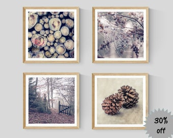 Set of 4 Square Nature Prints, Forest Wall Art Photography, Neutral Country Decor