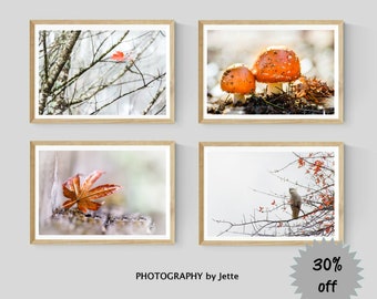 Set of 4 Autumn Photography Prints, Nature Wall Art, Fall Decor, Nature Print Set