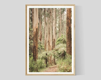 The Dandenongs Photography, Nature Wall Art, Australian Forest Landscape Print