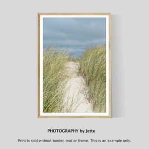 Beach Dune Path Wall Art Print, Coastal Photography, Beach Home Decor