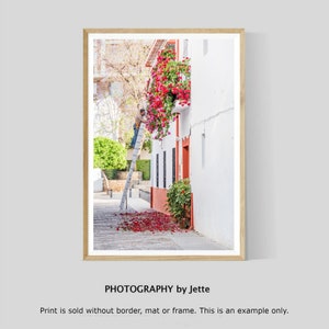 Bougainvillea in the Street, Andalusian Print, Cordoba Photography, Spain Wall Art, European Decor