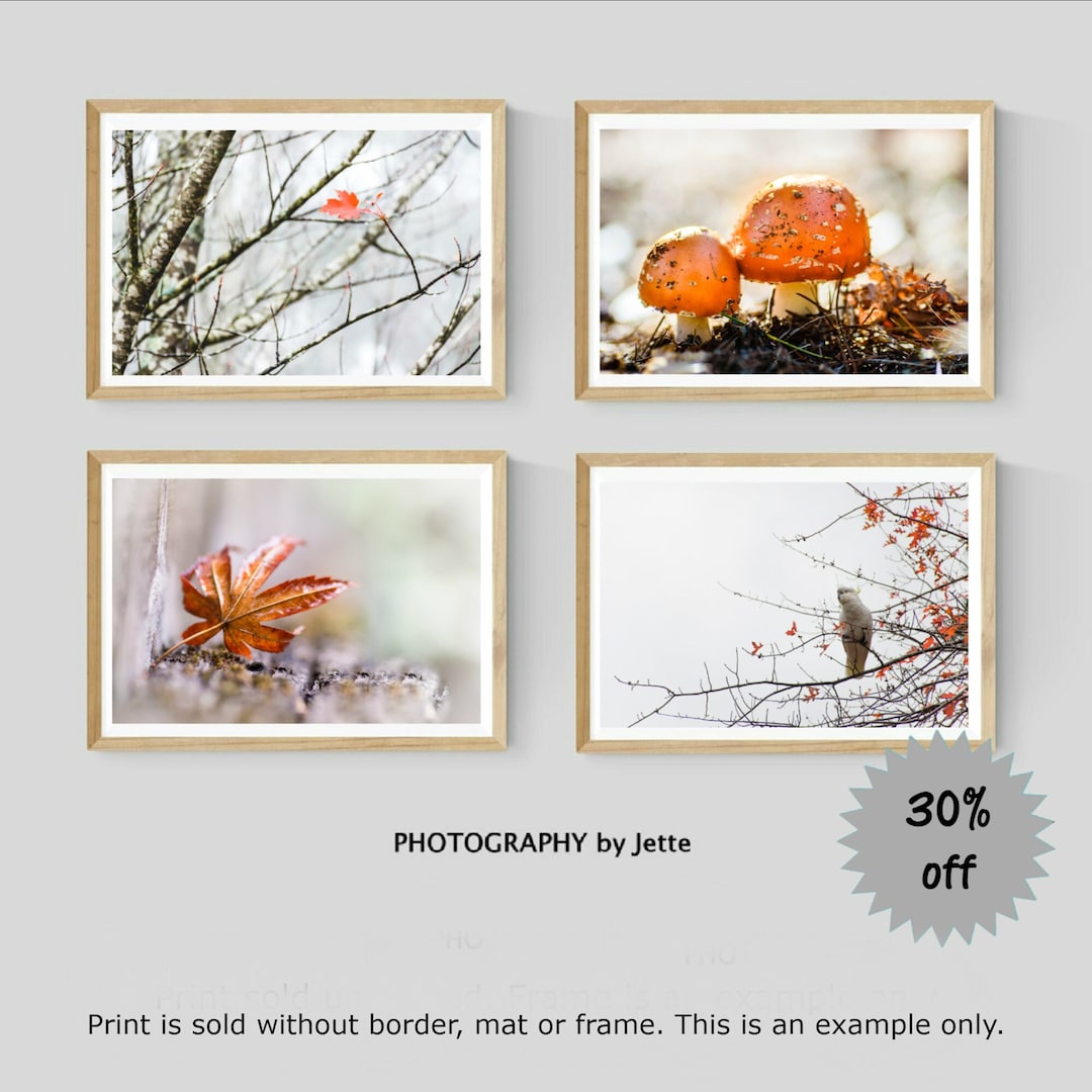 Set of 4 Autumn Photography Prints, Nature Wall Art, Fall Decor, Nature ...