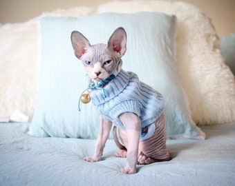 SUPER Tiny Kitten Sweaters for Sphynx Cats