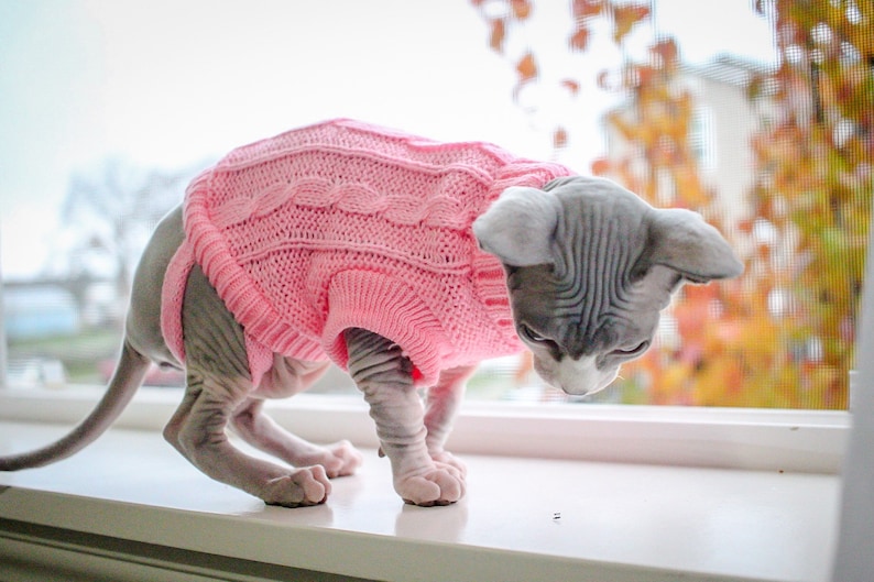 Tiny Kitten Sweaters for Sphynx Cats - Etsy