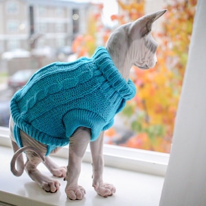 Tiny Kitten Sweaters for Sphynx Cats