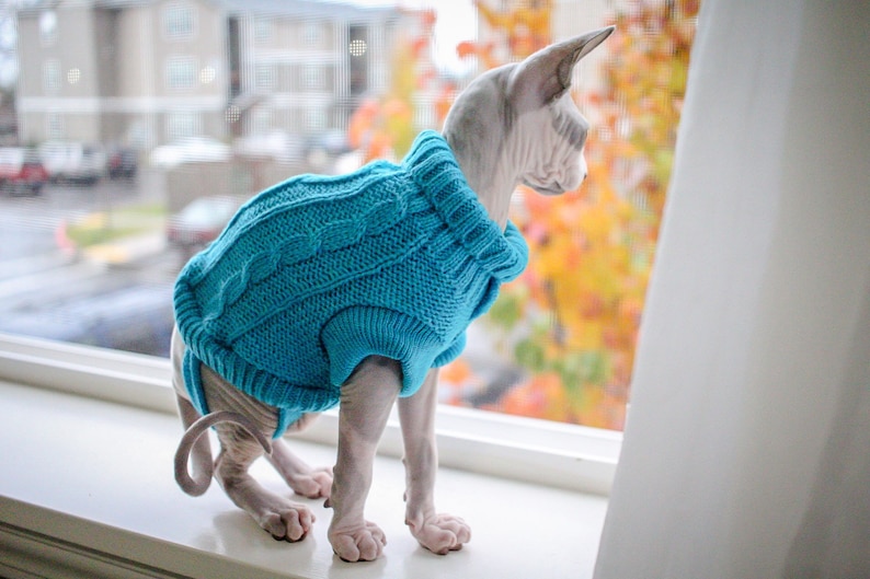 Tiny Kitten Sweaters for Sphynx Cats Etsy
