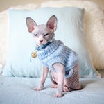 Kitten Clothing