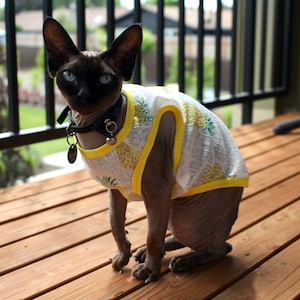 Sun Protecting Summer Pineapple Shirt for Cats