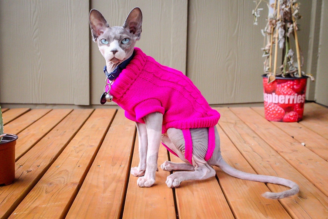 Sweater for Sphynx Cats