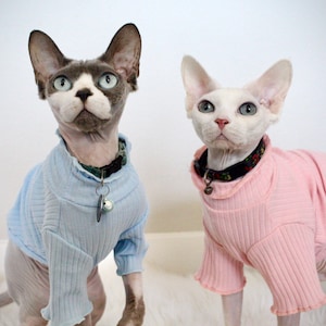 Spring Turtleneck Sweaters for Cats