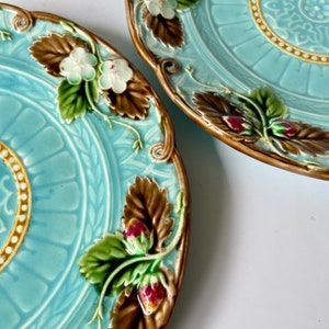Set of 2 plates Art nouveau Majolica. The Sarreguemines pottery Arts & Crafts Jardinieres. Jugendstil. Art Deco from France 1880