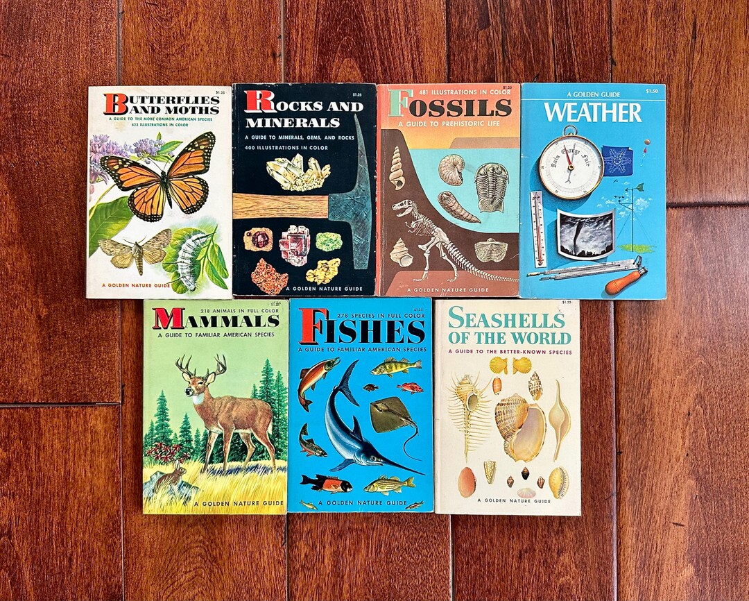 Old Nature Guide Vintage Golden Nature Guide Books Softcover Fossils Mammals Butterflies ...