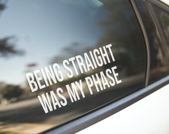 I Love Gay Porn Sex LGBT Lesbian Funny Car Bumper Vinyl Sticker Bicycle StickeBX