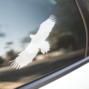 Eagle Decal / Hawk Decal / Falcon Decal / Eagle Sticker / Hawk Sticker / Falcon Sticker / Car Decal / Laptop Decal / Car Sticker / Gift