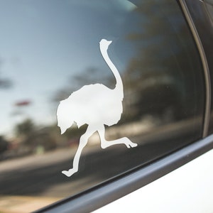 Ostrich Emu Sticker Decal / Laptop Sticker Decal / Car Sticker Decal / Bottle Sticker Decal
