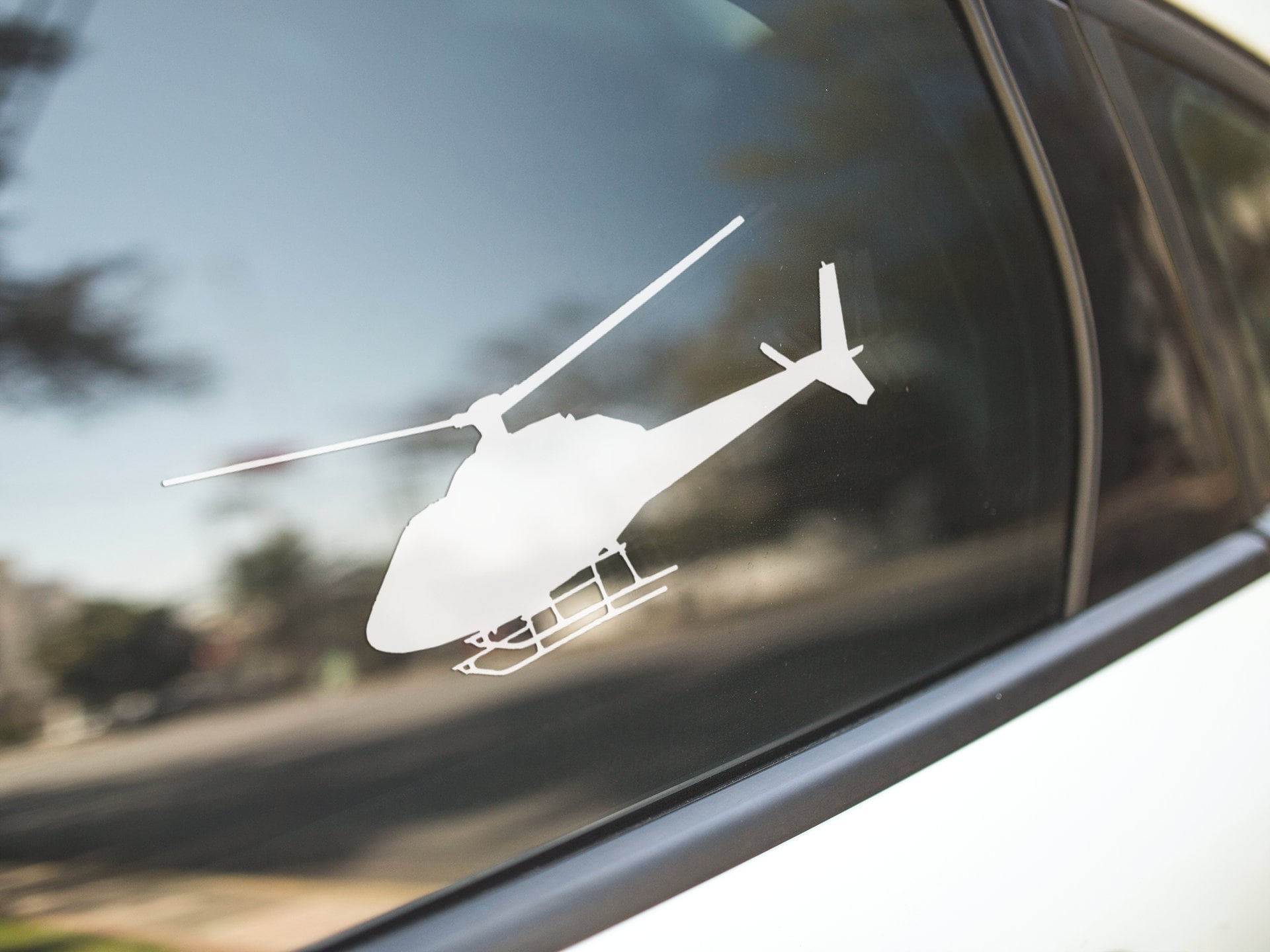 Are Helicopters From Trees Safe For Dogs To Eat