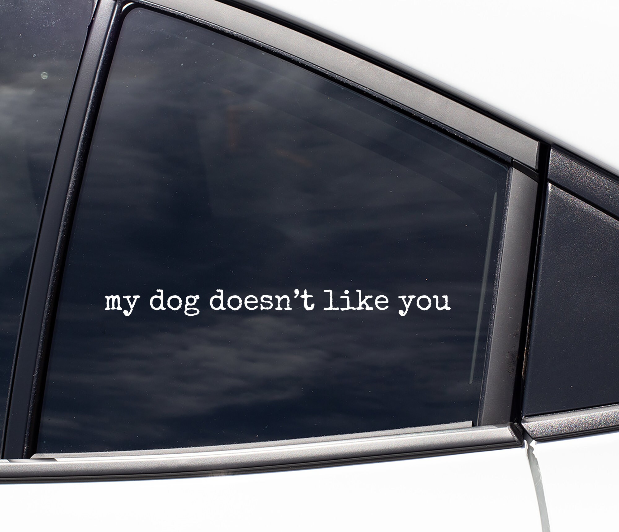 If My Dog Doesn't Like You, Neither Do I - Waterproof Car, Window, Laptop, Water  bottle Decals Stickers