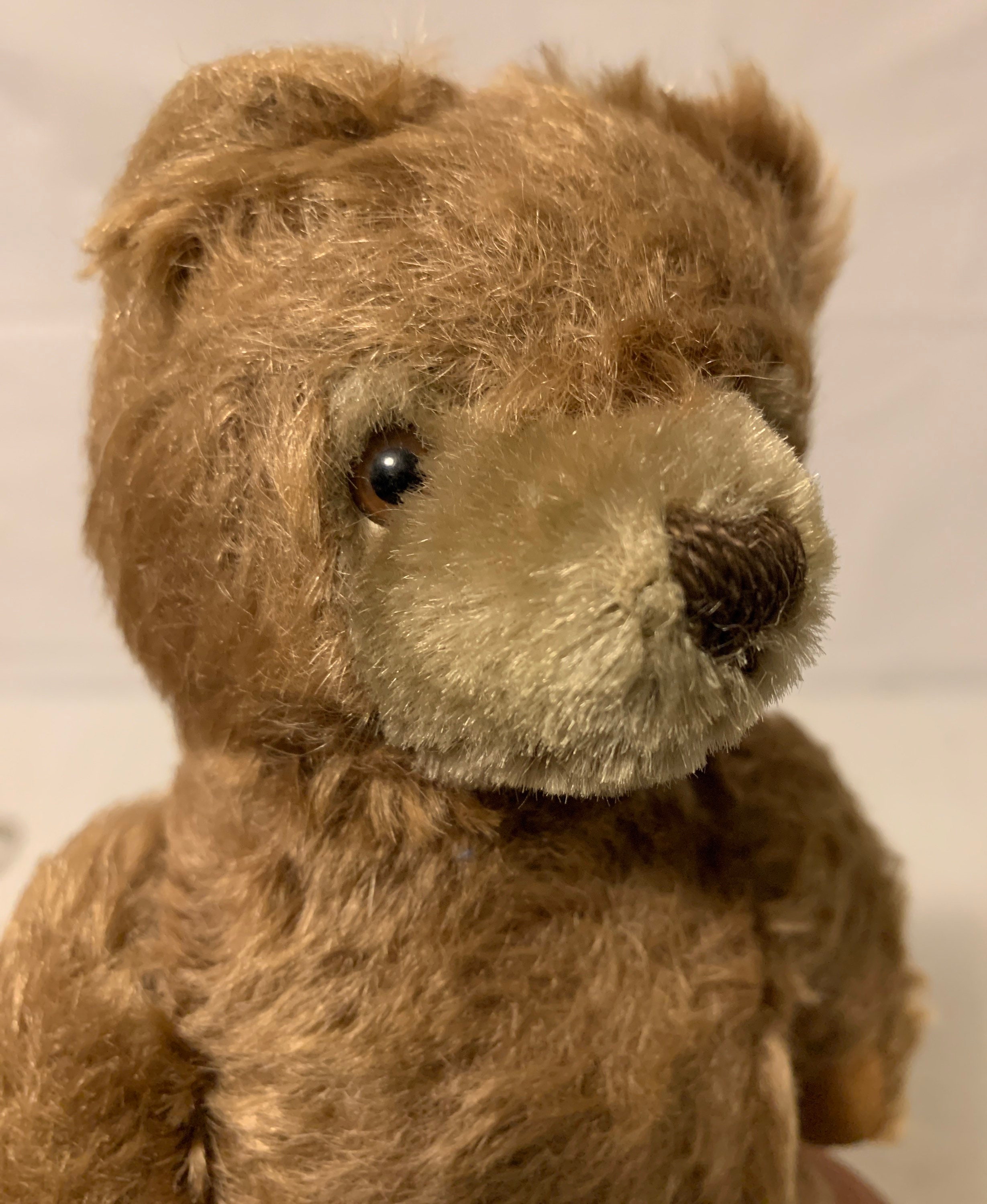 Vintage Antique Steiff 9 Inch Teddy Bear Head Turns Arm/Legs | Etsy