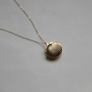 Op de afbeelding: Een gouden ketting met een gouden schelp hanger. De schelp is gesloten en heeft een gedetailleerde, geribbelde textuur.