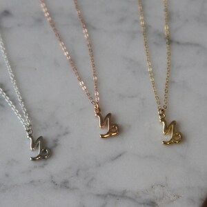 Capricorn  Zodiac necklace