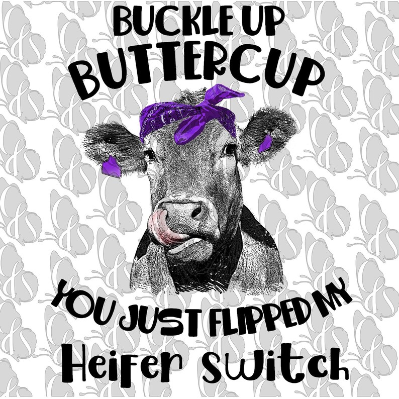 cohen buckle up buttercup cohen buckle up buttercup
