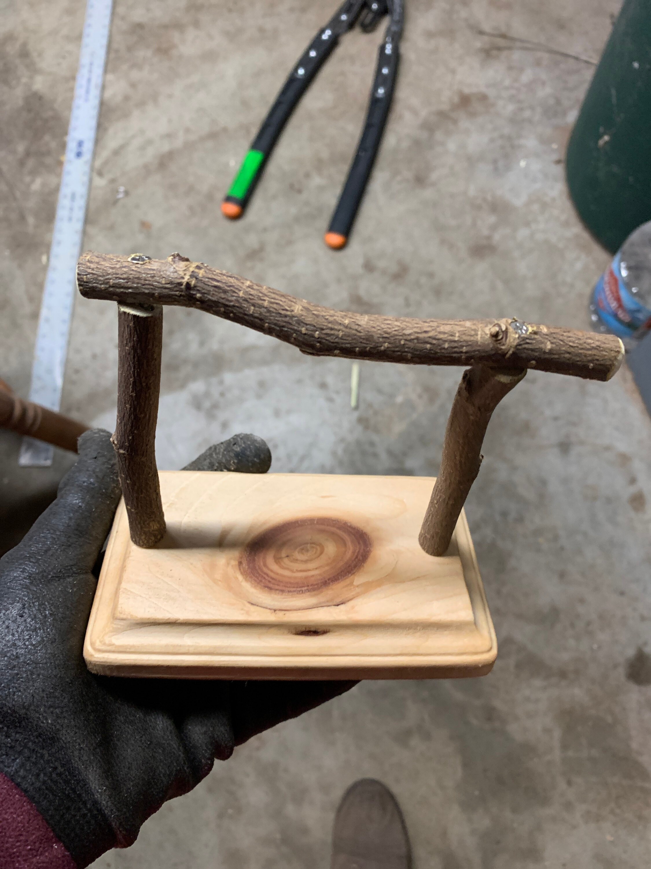 Scale Perch for Gram Scale Small Bird. 6X3 Inches Gcc Parakeet Etsy