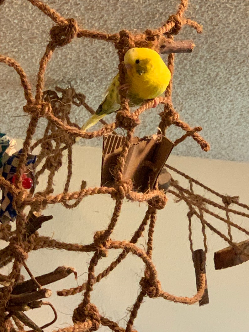 Rope Climbing Cargo Net for Birds Squirrels Sugar Gliders. Etsy