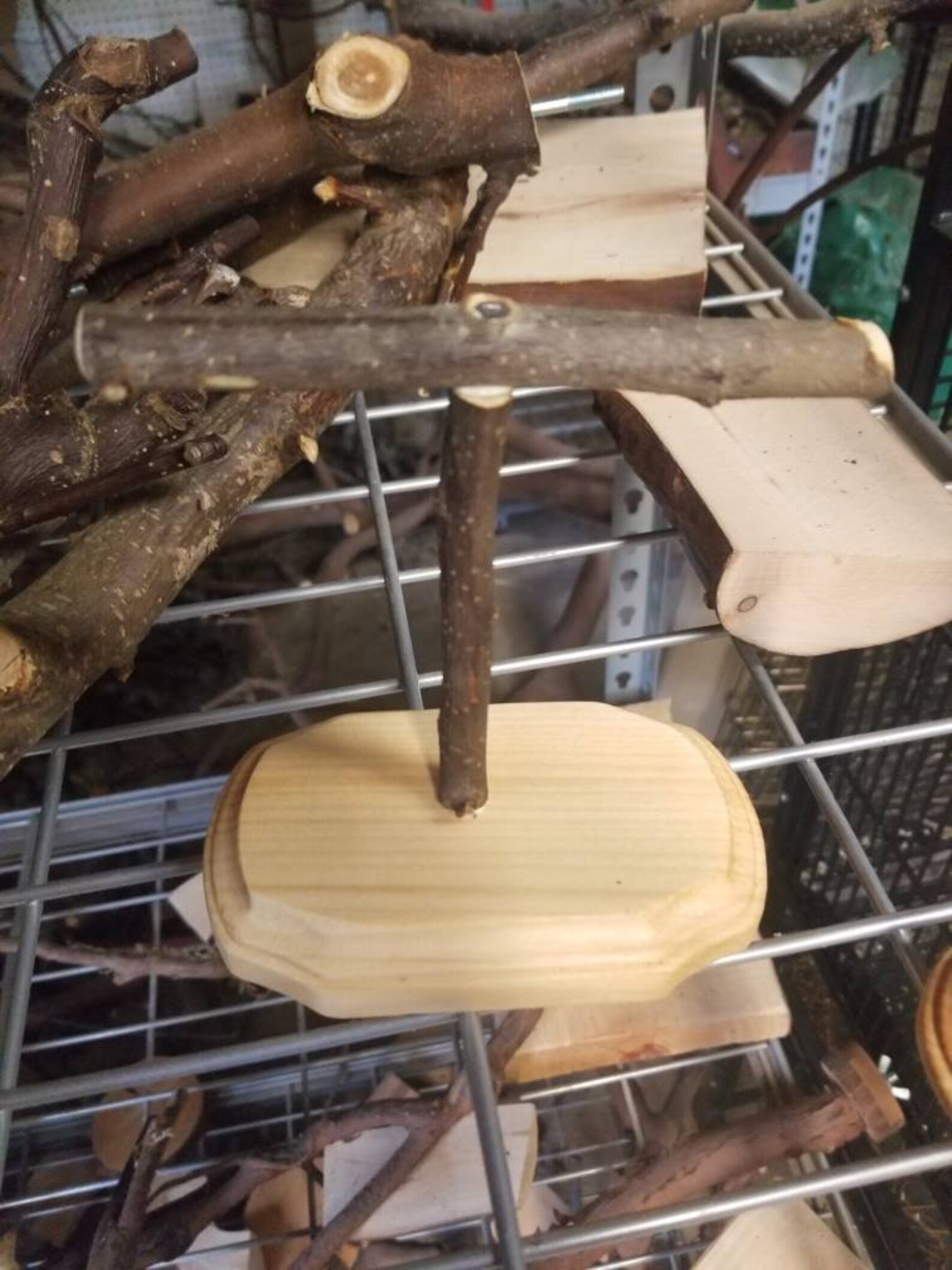 Scale Perch for Gram Scale Small Bird. 6X3 Inches Gcc Parakeet Etsy