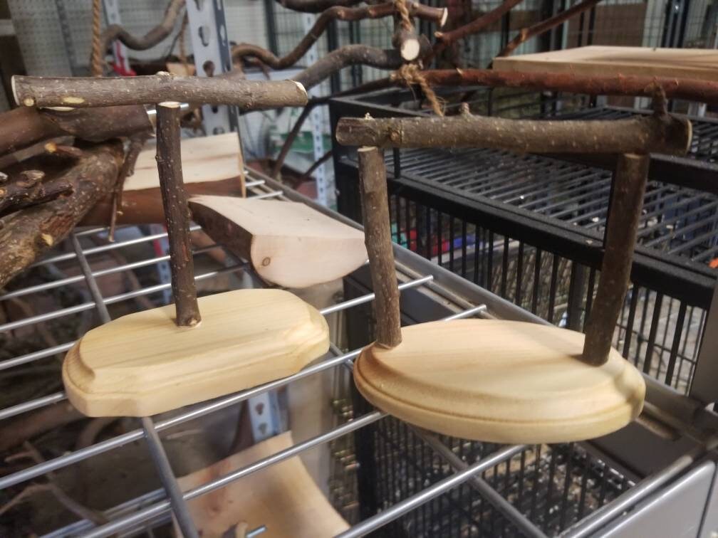 Scale Perch for Gram Scale Small Bird. 6X3 Inches Gcc Parakeet Etsy