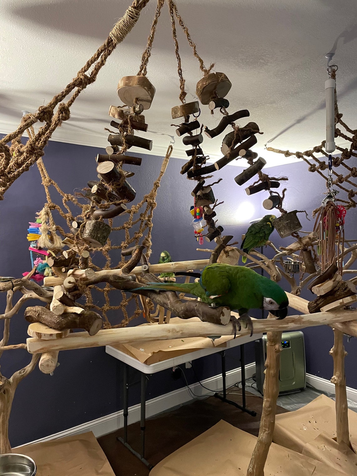 Natural wood hanging parrot stand for amazon African grey. Etsy