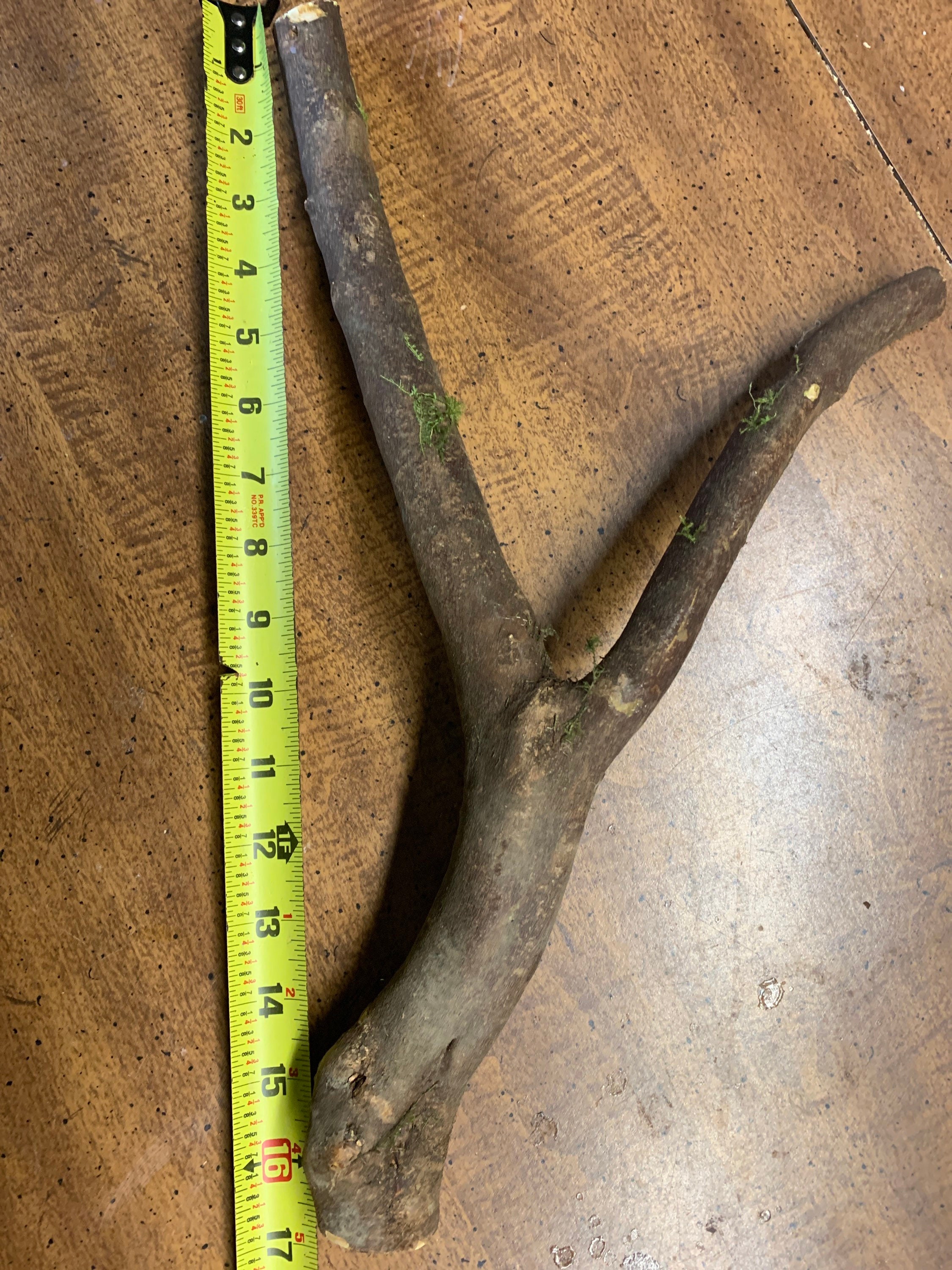 Cage perch natural wood medium large birds 12 Etsy