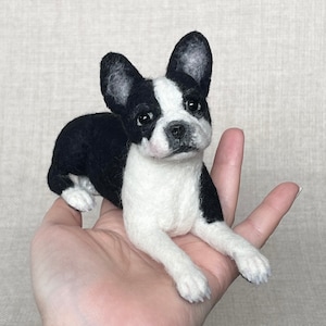 Boston Terrier, Nadel gefilzt