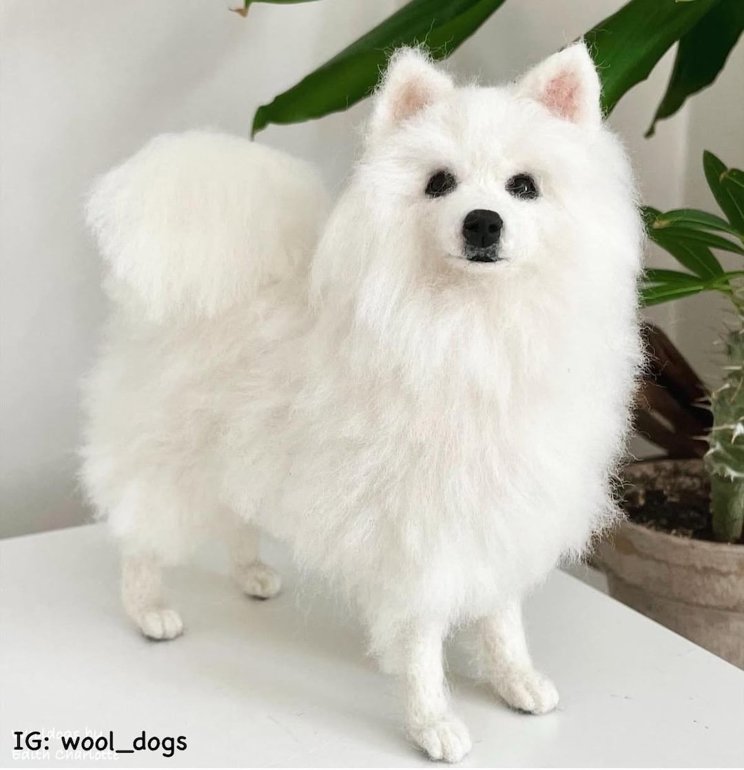 ミュージック SPITZ TOGEMARU20102011 il_1080xN.6977897124_ligz.jpg