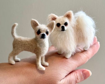 Chihuahua doll house dog