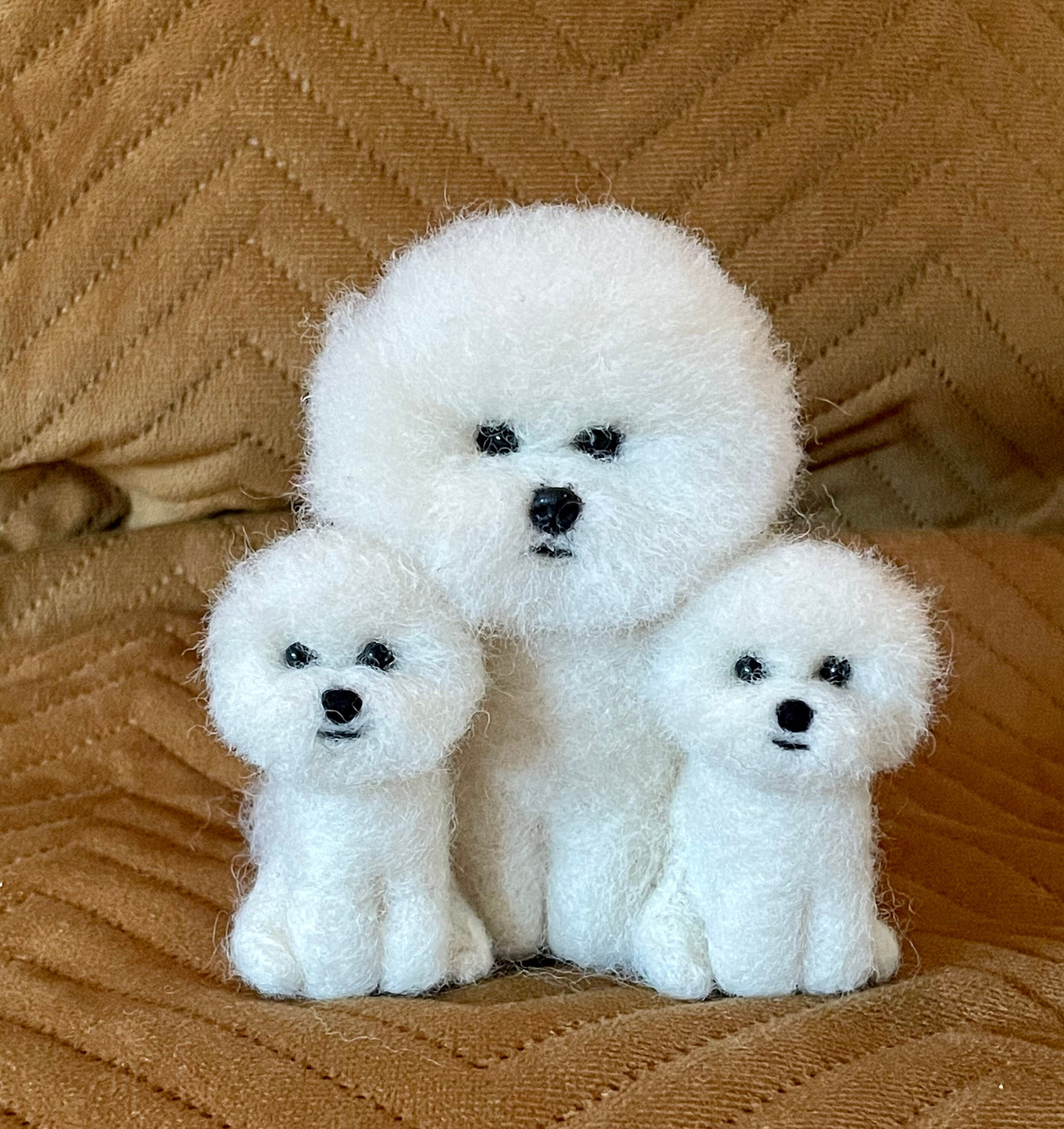 Puppies Preloved Bichon Teacup Bichon For Sale Bichon Frise