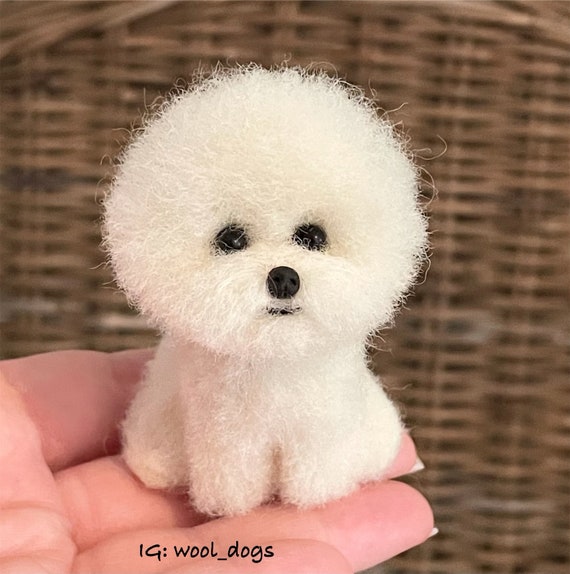 Bijon frise sales