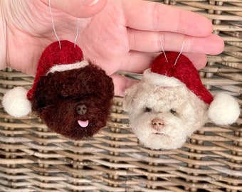 Lagotto Romagnolo