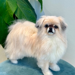 May include: A cream-coloured, needle-felted Pekingese dog figurine with black eyes and a fluffy, white coat. The figurine is standing on a teal-coloured surface.