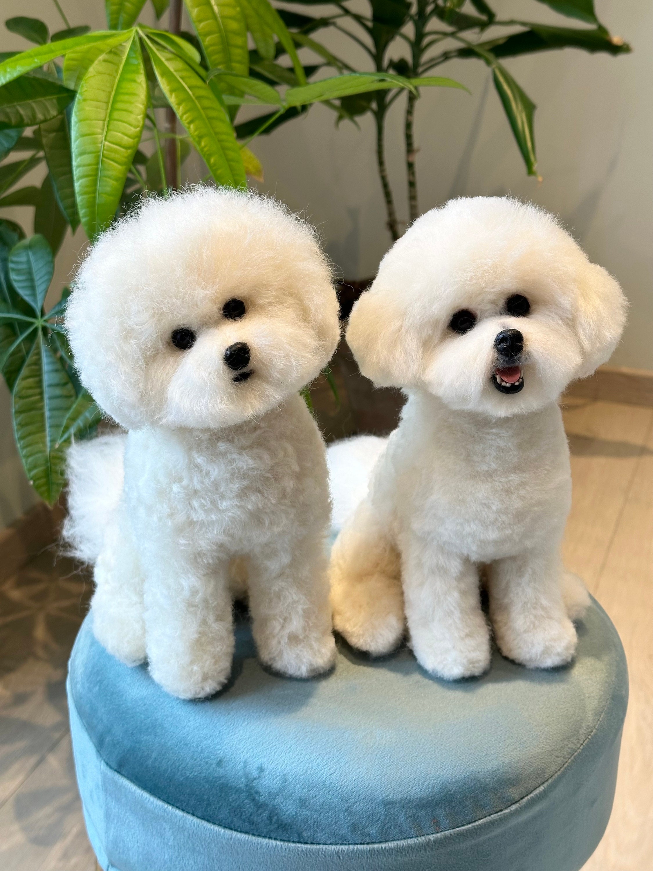 Custom made needle felted Bichon Frise - Etsy 日本