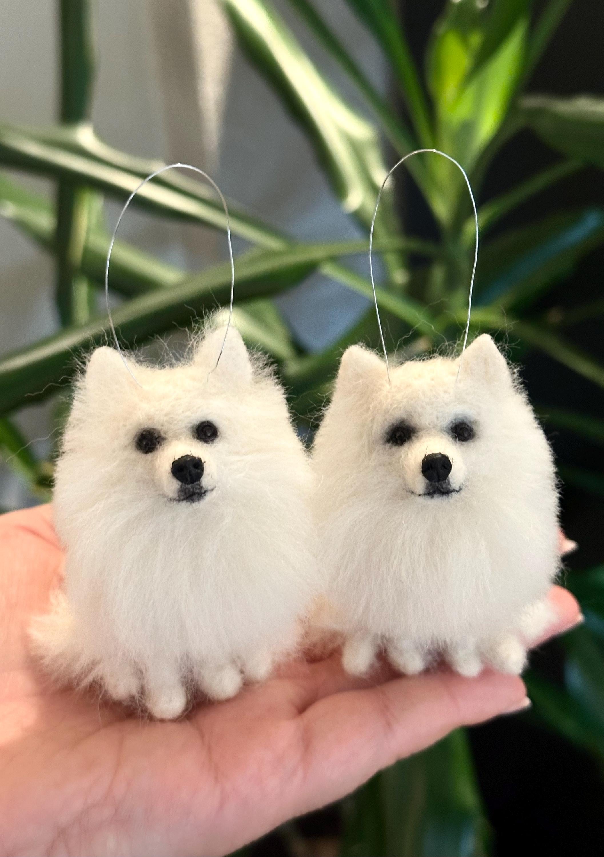 Japanese Spitz Australia
