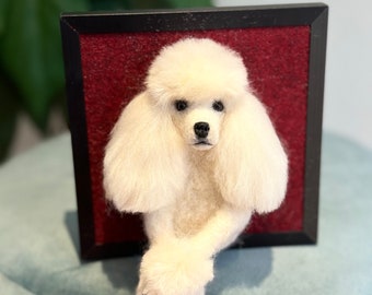 White poodle in frame