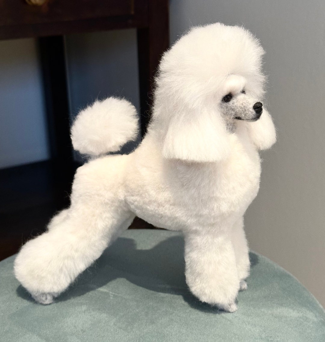 Para Perros French Corte De Pelo De Fresh Pool French Poodle Con