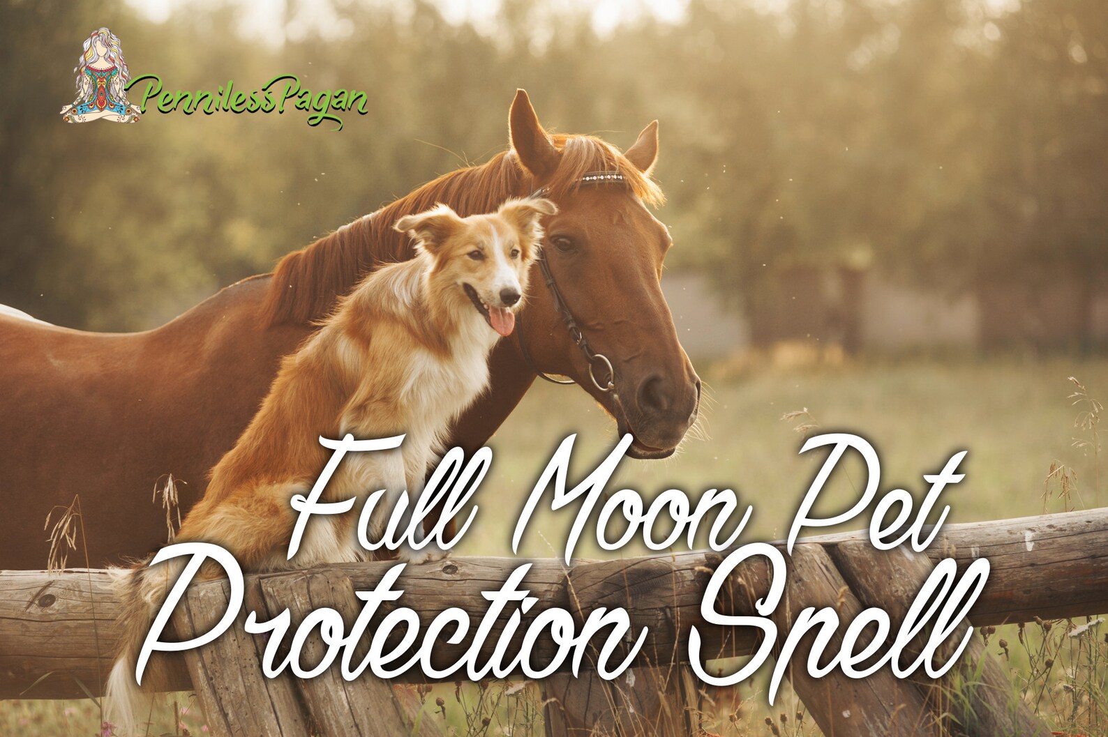 Full Moon Pet Protection Spell Printable Digital PDF for Etsy